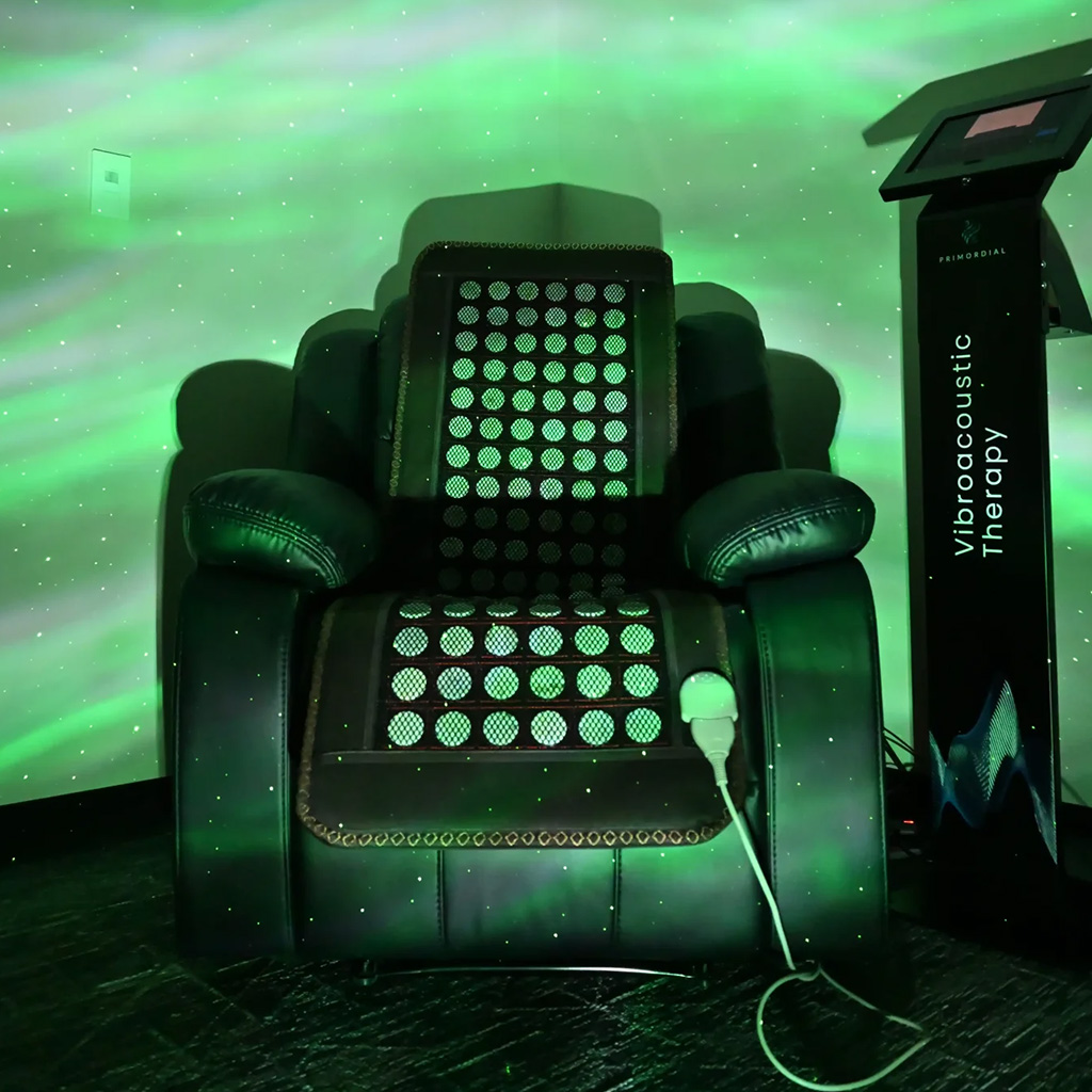 BioVibe Executive Leather Recliner - Image 2